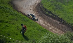 D80_4449+.webp