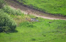 D80_4454+.webp