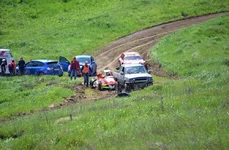 D80_4470+.webp