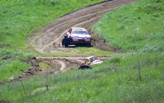 D80_4473+.webp