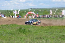 D80_4508+.webp