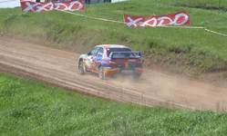 D80_4511+.webp