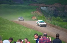 D80_4552+.webp