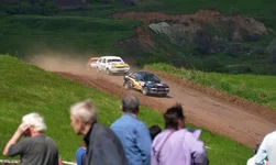 D80_4566+.webp