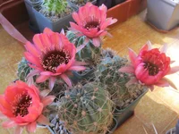 022.webp
