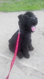 uploadfromtaptalk1463072103230.webp uploadfromtaptalk1463072103230.webp