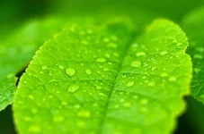 FOTO6863.webp