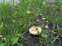 IMG_0969.webp
