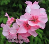 1-IMG_1497.webp