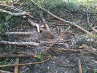 -0145.webp