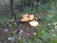 -0147.webp