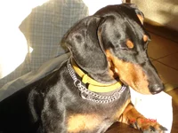 1_09_07_Доня (4).webp