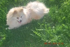 DSC_1944.webp