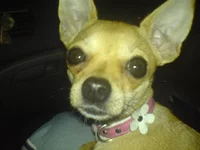 DSC01322.webp