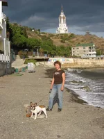 3.webp