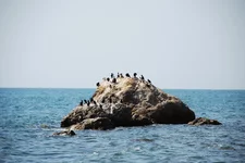 DSC_3154_.webp