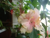 _1_10_09_вечер (4).webp