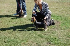  в Херсоне , лучшая **** -юниор .webp