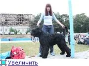 aa0c93253205t.webp
