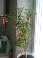 DSC05719.webp