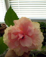 P9240023.jpg
