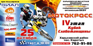 moto.webp