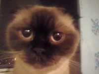 CAM00110.webp