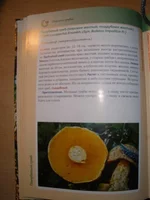 P5220001.webp