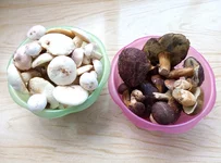 P60522-175454.webp