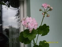 SDC19448.webp