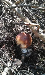 IMAG0811.jpg