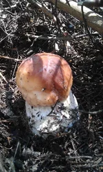 IMAG0812.jpg