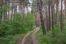 DSCF2707.webp