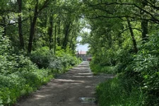DSCF2721.webp