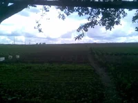 010.webp