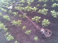003.webp