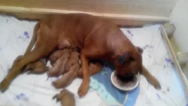 2-й день Салли не отывалась даже на еду.webp