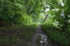 DSCF2896_0.webp
