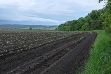 DSCF2935_0.webp