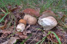 DSCF2920_0.jpg