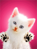 64172.gif