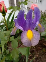 IMG_20160526_195237.webp