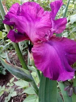 IMG_20160526_195128.webp