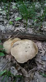 20160528_101755.jpg