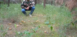 P5270003 - копия.webp