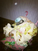 DSC_0391.webp