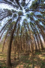 DSCF1694.webp