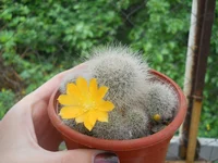 DSCN4978.webp