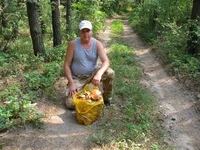 image.webp