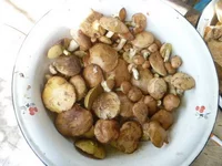 P1070748_resize_resize.webp